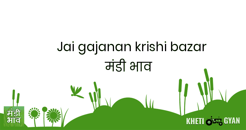 Jai Gajanan Krishi Bazar मंडी भाव की ताज़ा तस्वीर